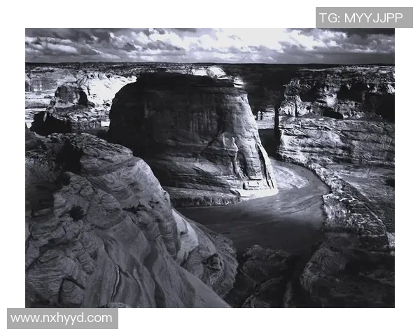 亚当斯的传奇人生与影响力探索:从历史人物到现代文化象征的演变之路 亚当斯的传奇人生与影响力探索:从历史人物到现代文化象征的演变之路