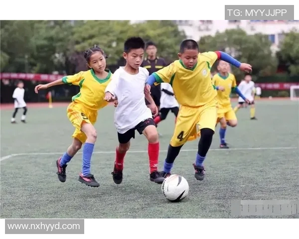 王少杰在新时代的奋斗历程与成就探索：从平凡到卓越的成长故事