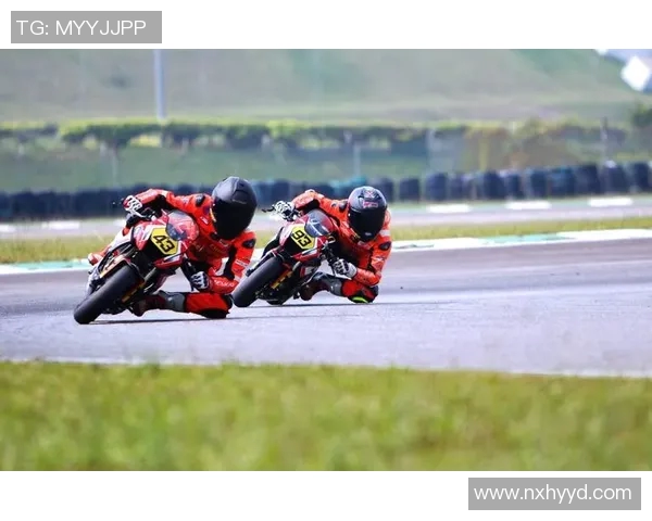 帕林赫塔VS对手激战在即球迷期待精彩比赛瞬间与战术较量