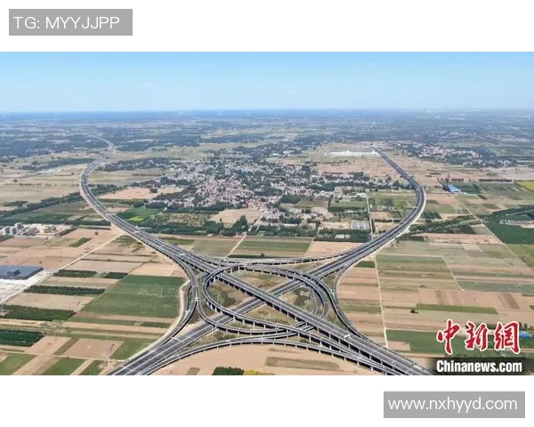 弗拉霍维奇的崛起与未来展望：如何成为世界顶级前锋的关键因素分析