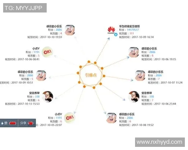 深入解析上海排球队战术表现与数据分析的关系与影响