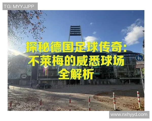 麦卡利斯特的传奇人生与足球之路探秘