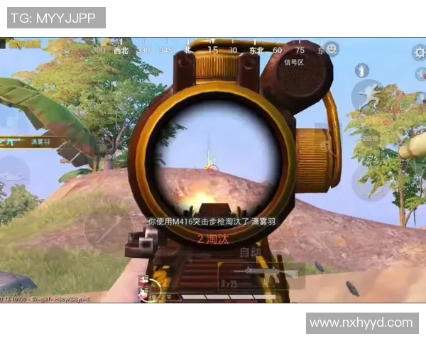 从零起步到高手之路：和平精英全方位速度攻略秘籍