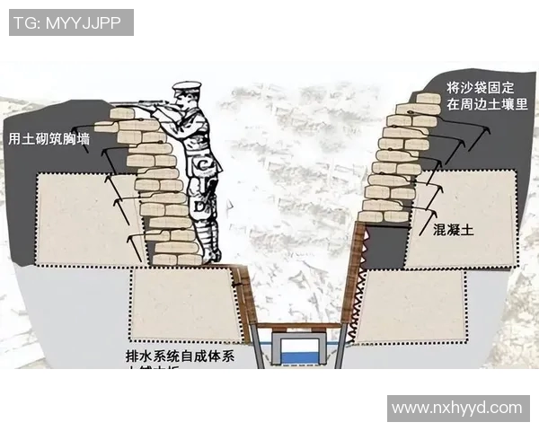 北京乒乓球队反击打法的深度分析与战术解析