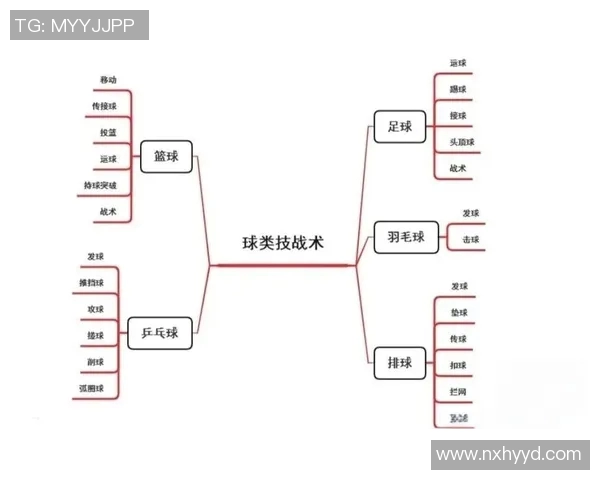 深圳篮球队反击战术分析与得失总结探讨